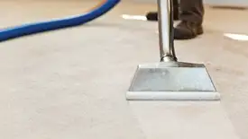Carpet cleaning wand head gliding over a light carpet during hot-water extraction, Aurora, CO.